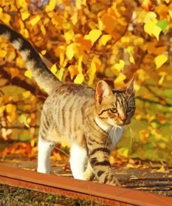 Cat And Leaves Diamond Paintings