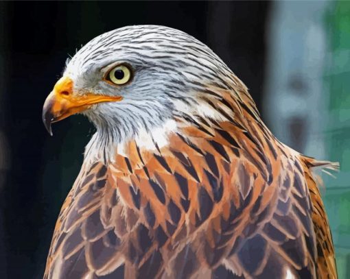 Close Up Red Kite Diamond Paintings