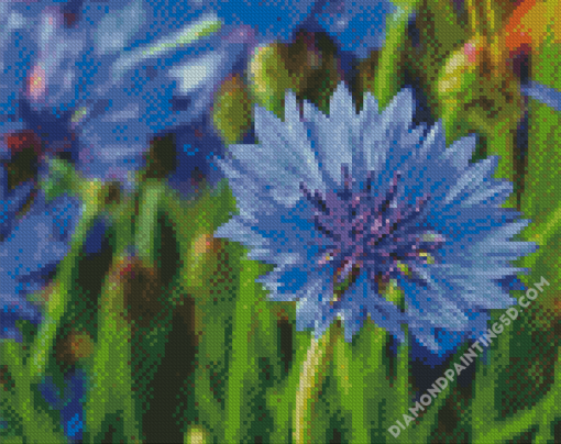 Corn Flowers Diamond Paintings