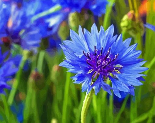 Corn Flowers Diamond Paintings