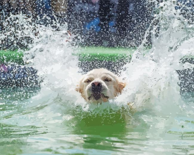 Dog In Water Diamond Paintings