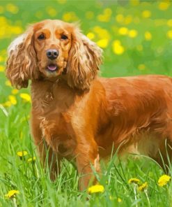 English Cocker Spaniel Dog Diamond Paintings