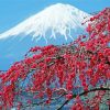 Fall Cherry Blossom With Snowy Mountain Diamond Paintings