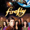 Firefly Poster Diamond Paintings