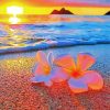 Flowers On Beach At Sunset Diamond Paintings