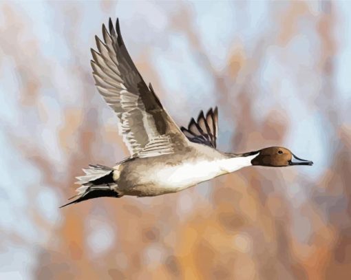 Flying Northern Pintail Diamond Paintings