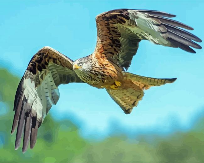 Flying Red Kite Bird Diamond Paintings