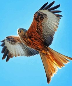 Flying Red Kite Diamond Paintings