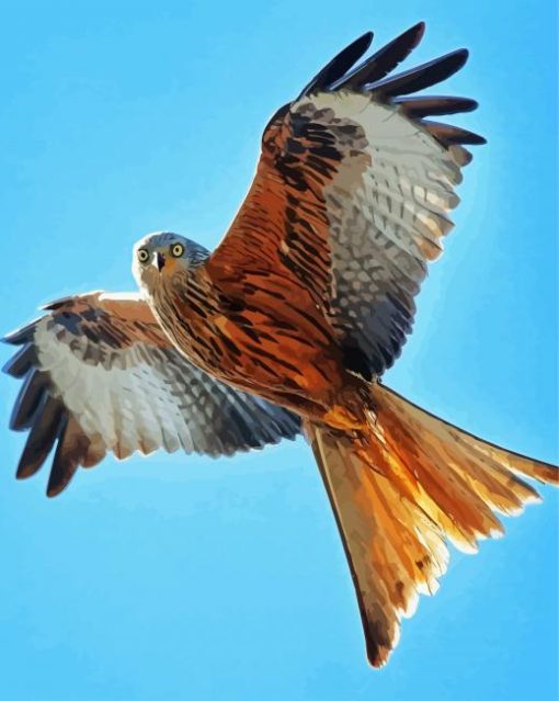 Flying Red Kite Diamond Paintings