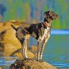 Germain Shorthaired Pointer Dog Diamond Paintings