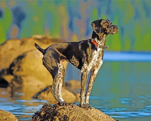 Germain Shorthaired Pointer Dog Diamond Paintings