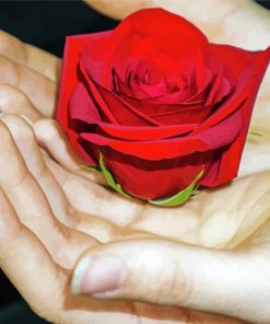 Giving A Rose On Hand Diamond Paintings