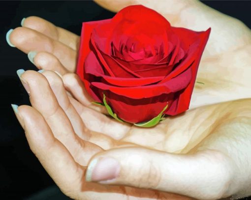 Giving A Rose On Hand Diamond Paintings