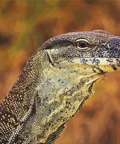 Goanna Reptile Head Diamond Paintings