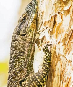 Goanna On Tree Diamond Paintings