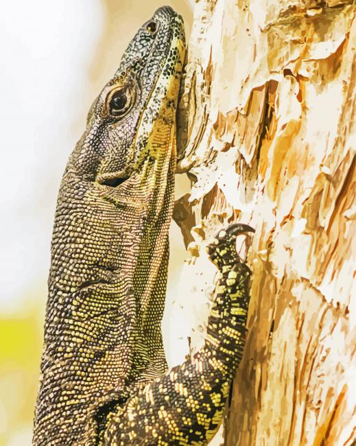 Goanna On Tree Diamond Paintings