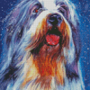 Bearded Collie Dog Art Diamond Paintings