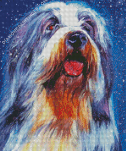 Bearded Collie Dog Art Diamond Paintings