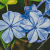 Blue Plumbago Diamond Paintings