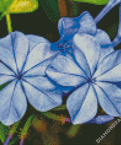 Blue Plumbago Diamond Paintings