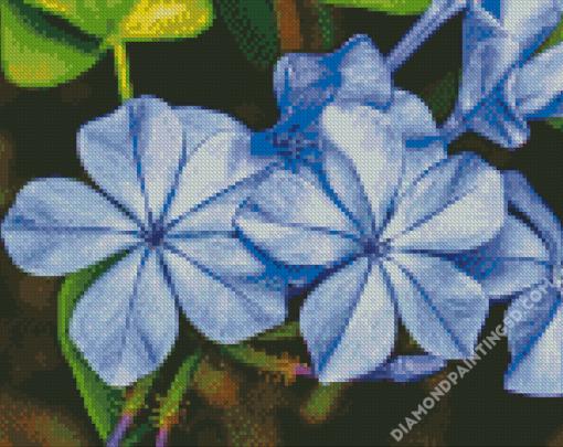 Blue Plumbago Diamond Paintings