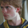 Cedric Diggory Character Diamond Paintings