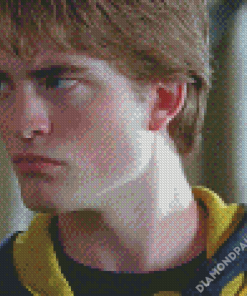 Cedric Diggory Character Diamond Paintings