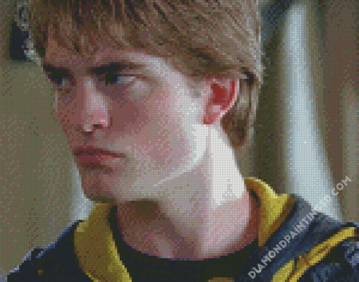 Cedric Diggory Character Diamond Paintings