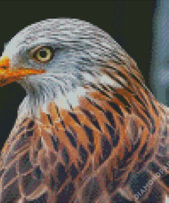 Close Up Red Kite Diamond Paintings