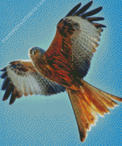 Flying Red Kite Diamond Paintings