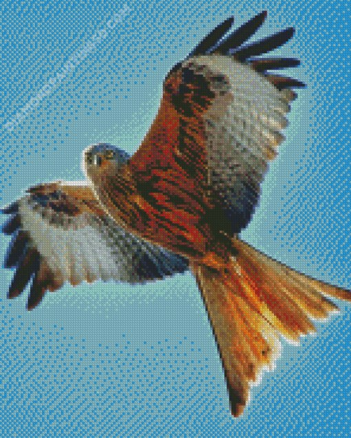 Flying Red Kite Diamond Paintings