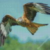 Flying Red Kite Bird Diamond Paintings