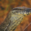 Goanna Reptile Head Diamond Paintings