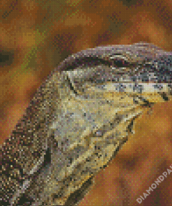 Goanna Reptile Head Diamond Paintings