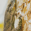 Goanna On Tree Diamond Paintings