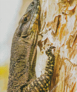 Goanna On Tree Diamond Paintings