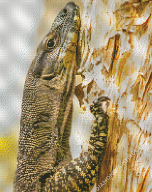 Goanna On Tree Diamond Paintings