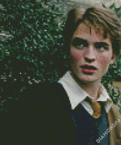 Harry Potter Character Cedric Diggory Diamond Paintings