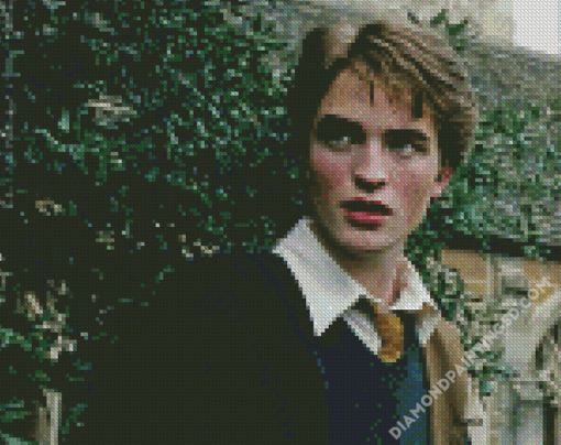 Harry Potter Character Cedric Diggory Diamond Paintings