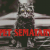 Pet Semetary Poster Diamond Paintings