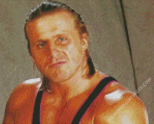 Professional Wrestler Owen Hart Diamond Paintings