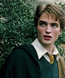 Harry Potter Character Cedric Diggory Diamond Paintings