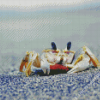 Hermit Crab Animal Diamond Paintings