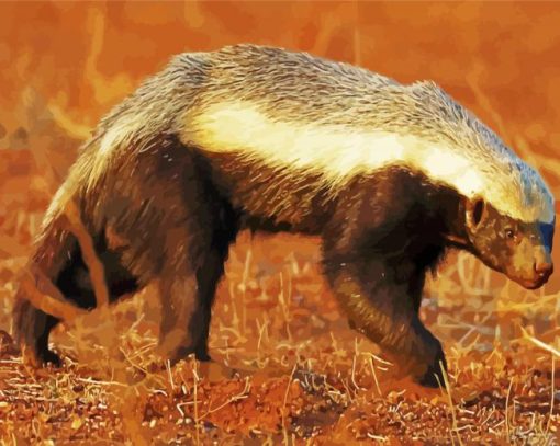 Honey Badger Animal Diamond Paintings