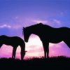 Horse And Foal Silhouette Diamond Paintings