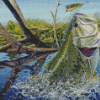 Largemouth Bass Diamond Paintings