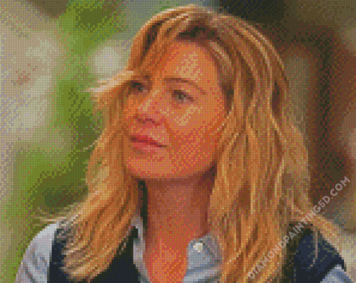 Meredith Grey Illustration Diamond Paintings