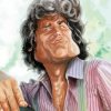 Michael Landon Charicature Diamond Paintings