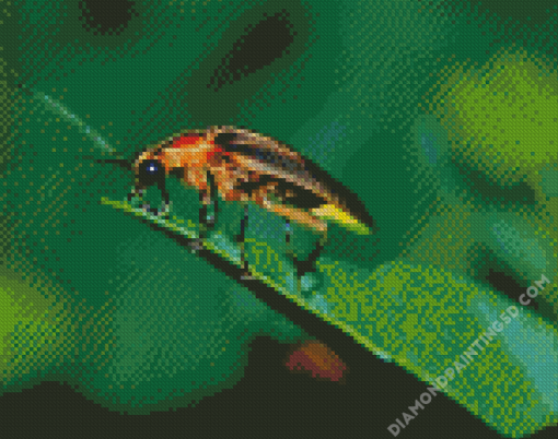 Firefly Insect Diamond Paintings