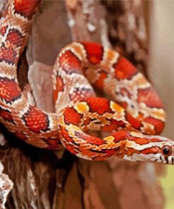 Okeetee Corn Snake Diamond Paintings